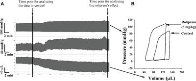 Rolipram, a PDE4 Inhibitor, Enhances the Inotropic Effect of Rat Heart by Activating SERCA2a